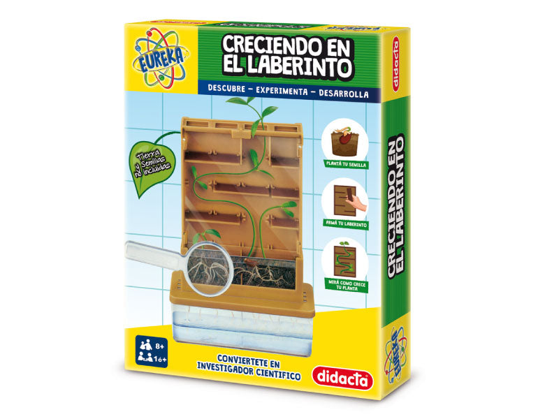 CRECIENDO EN EL LABERINTO Didacta