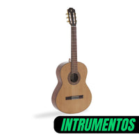 Instrumentos Musicales y Accesorios