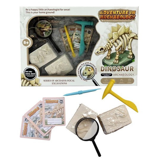 Dinosaurio fósiles, con accesorios en caja