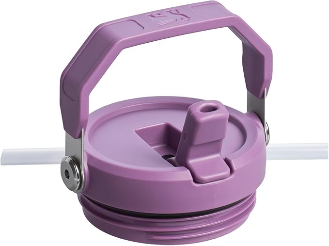 Vaso térmico Stanley Flip Straw Tumbler 591 ml Lila